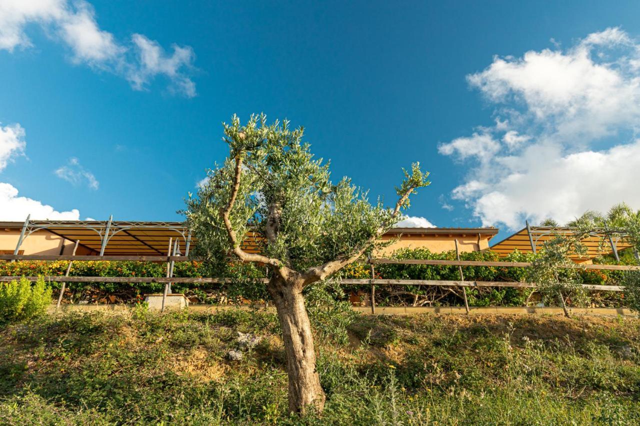 Solemar Sicilia - Le Casette Di Calzata Campofelice Di Roccella Εξωτερικό φωτογραφία