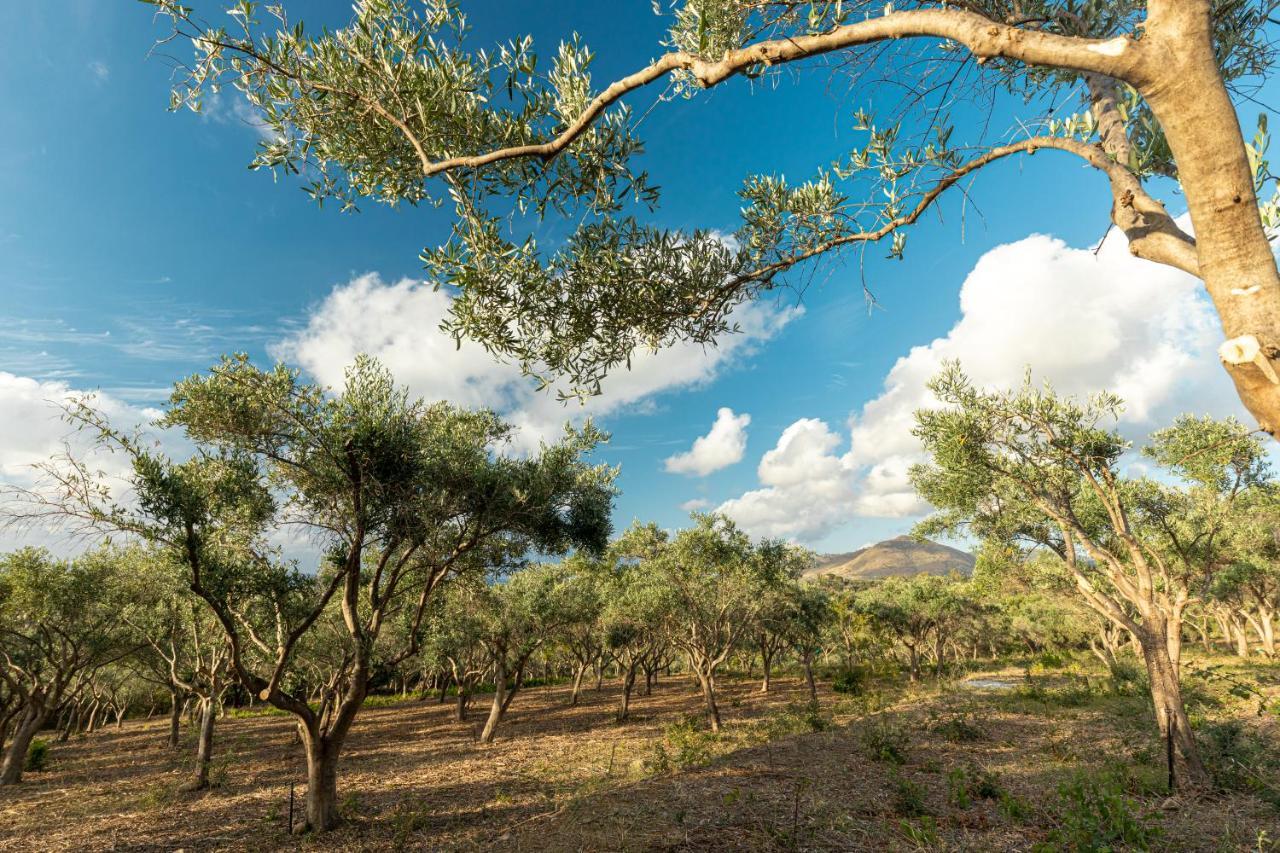 Solemar Sicilia - Le Casette Di Calzata Campofelice Di Roccella Εξωτερικό φωτογραφία