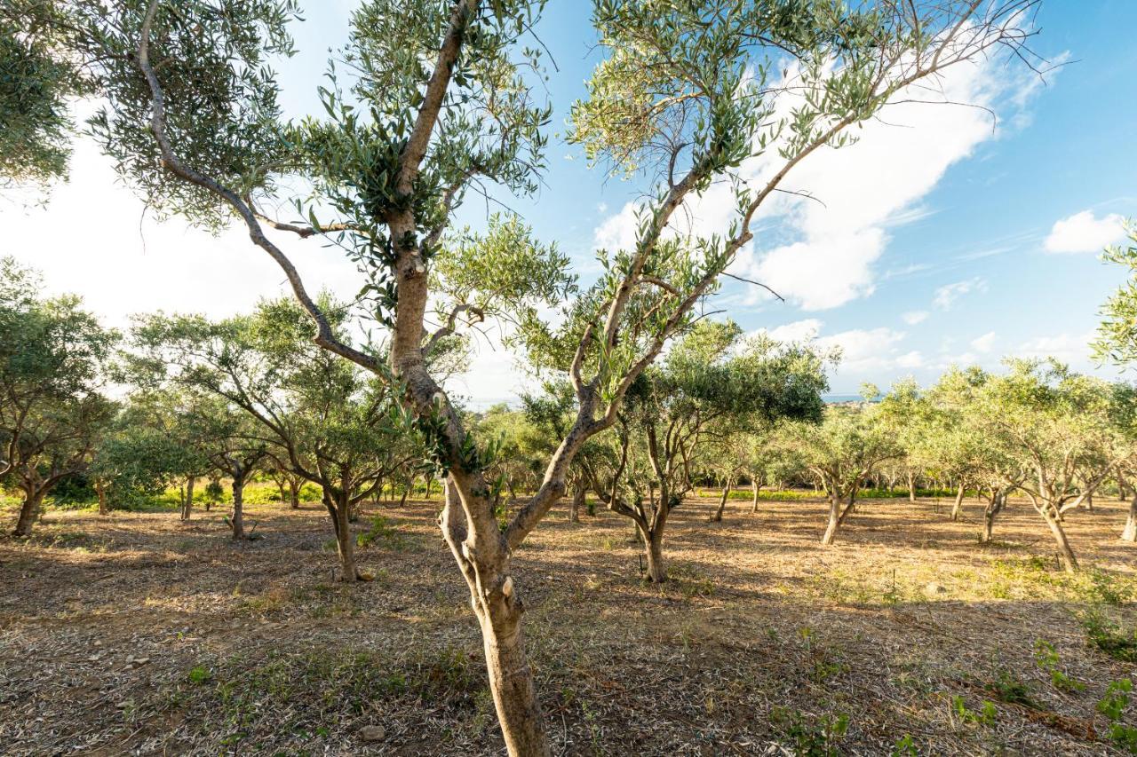 Solemar Sicilia - Le Casette Di Calzata Campofelice Di Roccella Εξωτερικό φωτογραφία
